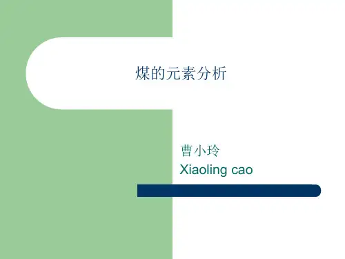 煤的元素分析 