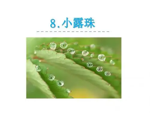 二年级语文下册(冀教版8小露珠公开课PPT课件