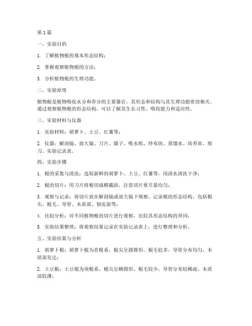 植物的根_实验报告(3篇)
