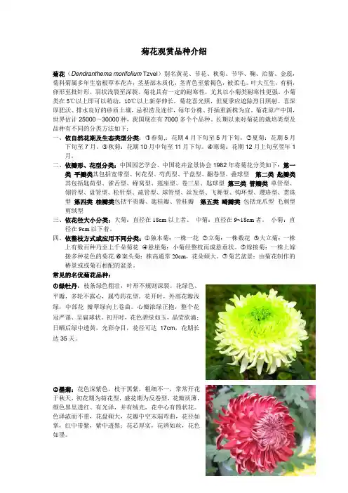 菊花花观赏品种介绍