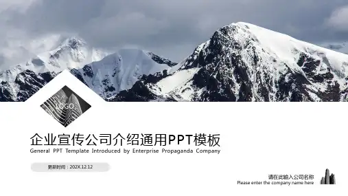 企业宣传公司介绍大气通用PPT模板