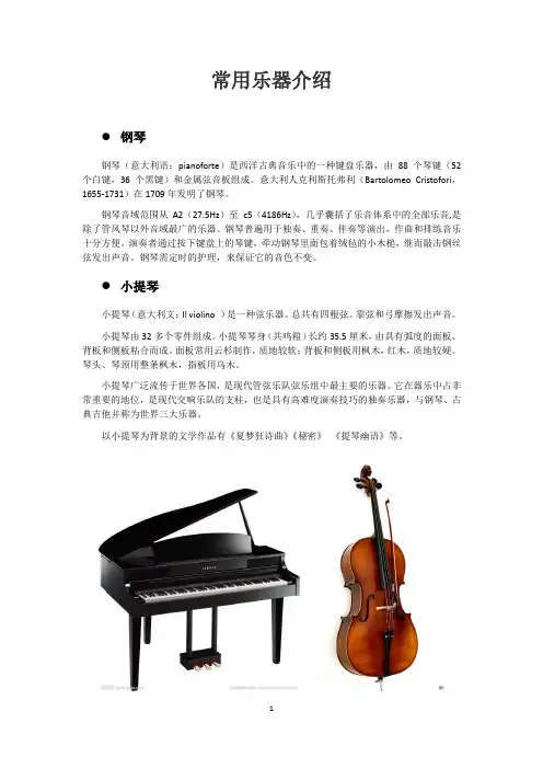 小学生音乐作业-常用乐器介绍