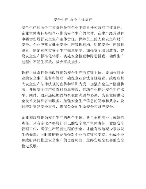 安全生产 两个主体责任
