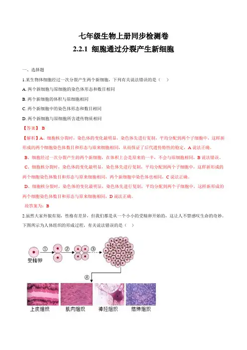 2.2.1 细胞通过分裂产生新细胞-七年级生物上册精品课堂同步检测卷(人教版)(解析卷)