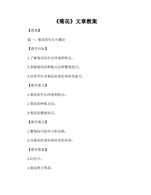 《菊花》文章教案