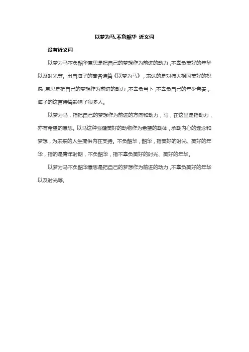 以梦为马,不负韶华 近义词