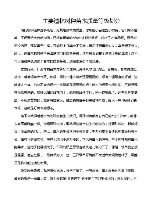 主要造林树种苗木质量等级划分