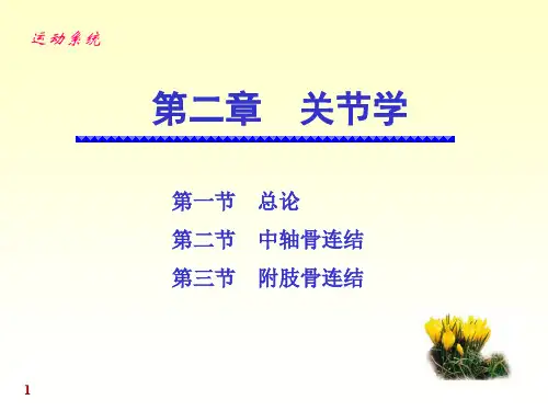 3关节总论各论PPT资料25页