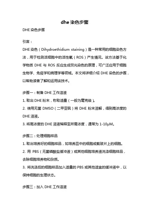 dhe染色步骤