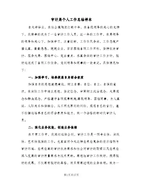2024年审计局个人工作总结样本(5篇)