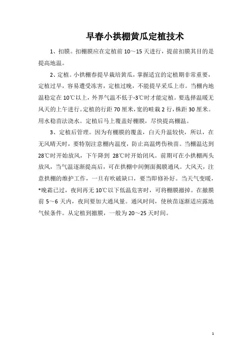 早春小拱棚黄瓜定植技术
