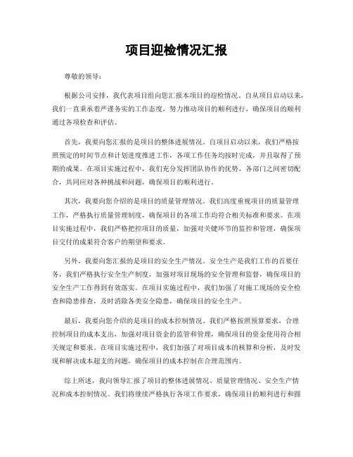 项目迎检情况汇报