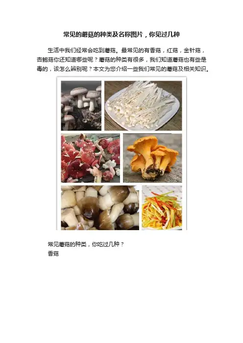 常见的蘑菇的种类及名称图片，你见过几种