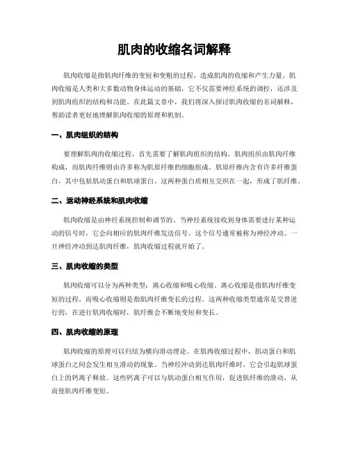 肌肉的收缩名词解释