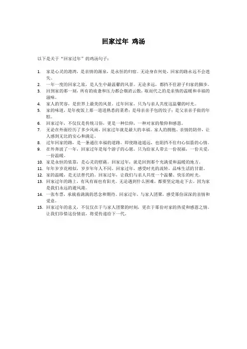 回家过年 鸡汤