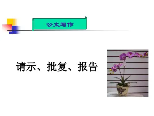 公文写作7请示、批复、报告