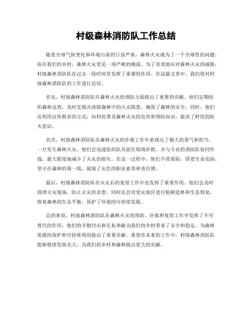 村级森林消防队工作总结