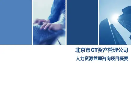 北京GT资产管理公司人力资源咨询项目概要