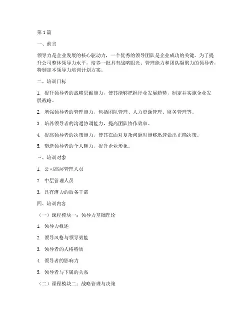 公司领导力培训计划方案(3篇)