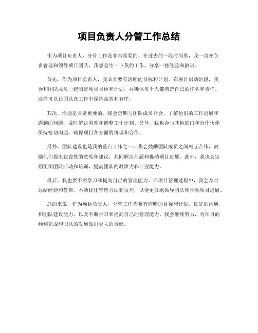 项目负责人分管工作总结