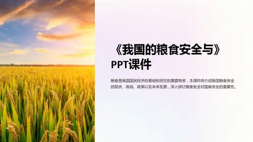 《我国的粮食安全与》课件