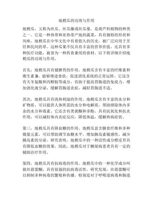 地梢瓜的功效与作用