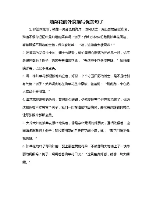 油菜花的外貌描写优美句子