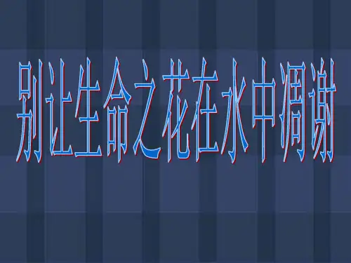 小学生防溺水教育ppt