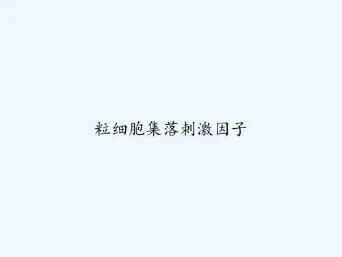 粒细胞集落刺激因子 PPT