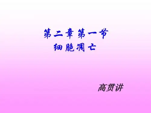 细胞的凋亡 PPT课件1 中图版