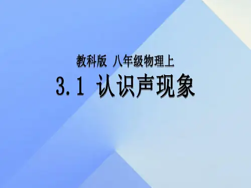 认识声现象专题教育课件