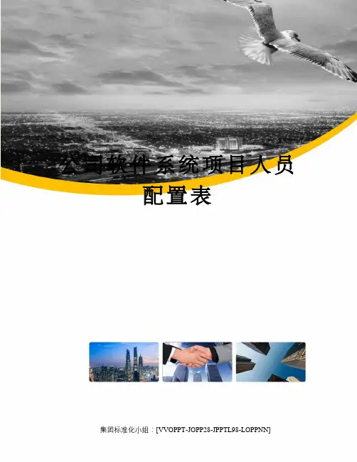 公司软件系统项目人员配置表