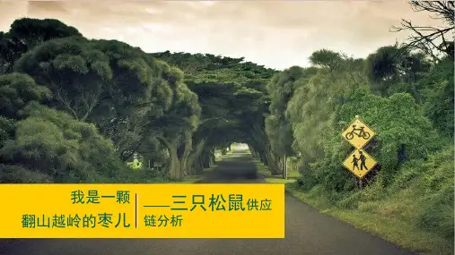 三只松鼠供应链分析