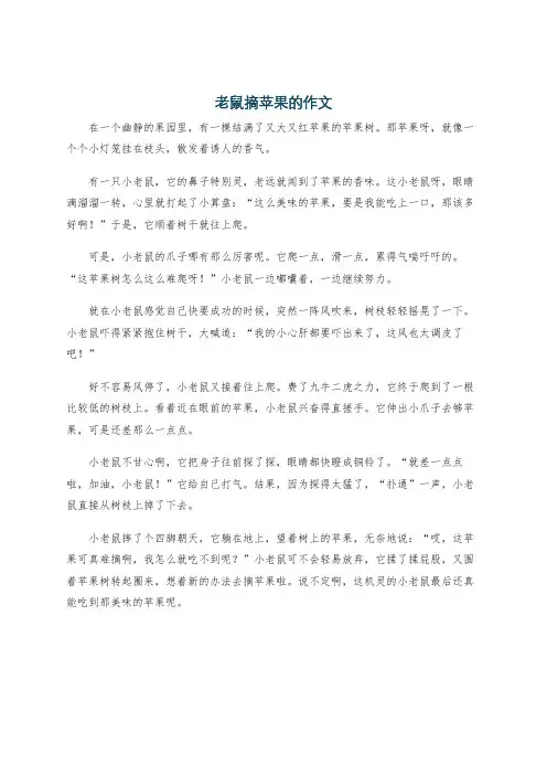老鼠摘苹果的作文