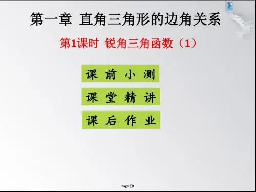 锐角三角函数(1)