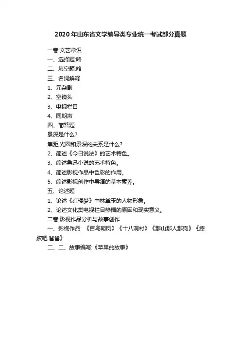 2020年山东省文学编导类专业统一考试部分真题
