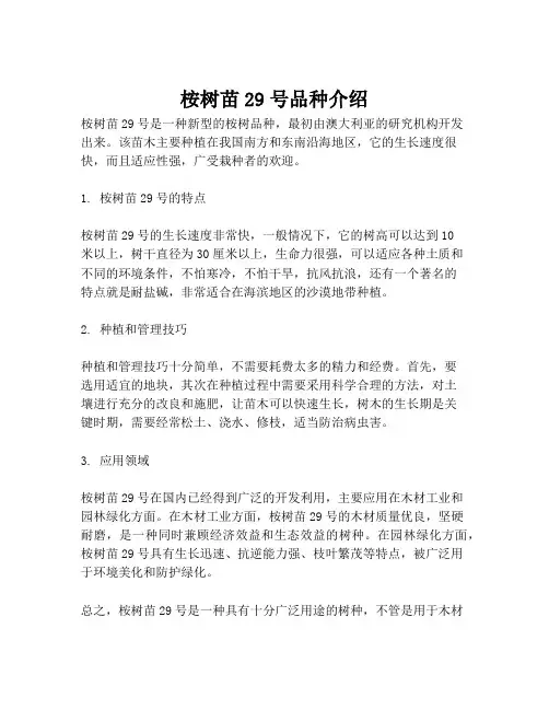 桉树苗29号品种介绍