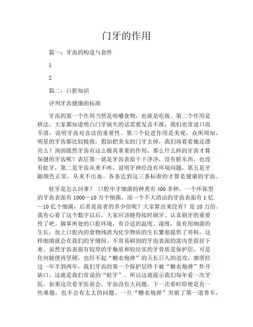 门牙的作用