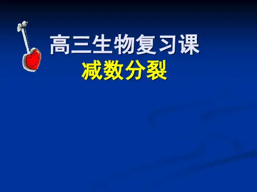 复习课减数分裂PPT课件