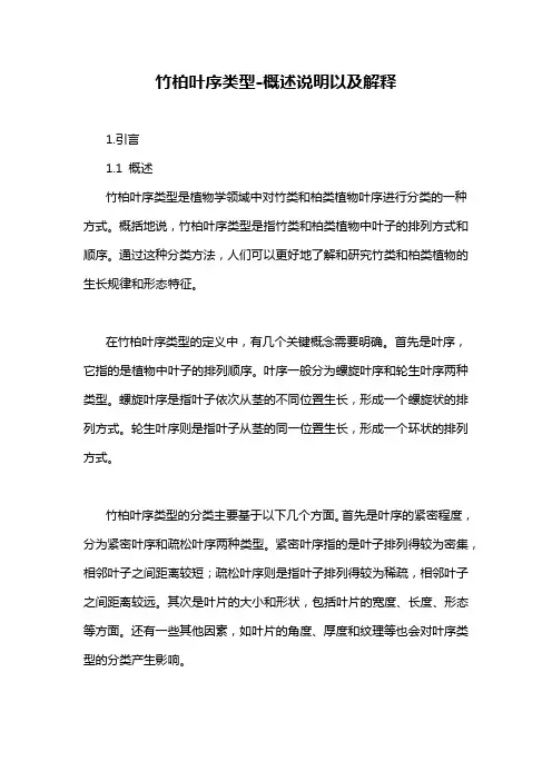 竹柏叶序类型-概述说明以及解释