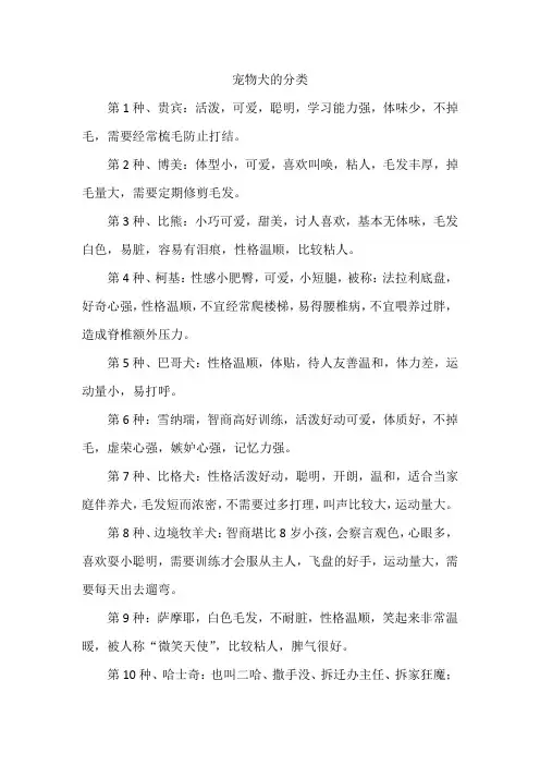 宠物犬的分类