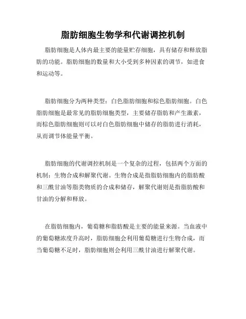 脂肪细胞生物学和代谢调控机制