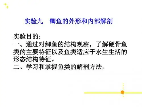 动物学实验九鲫鱼解剖-精品文档
