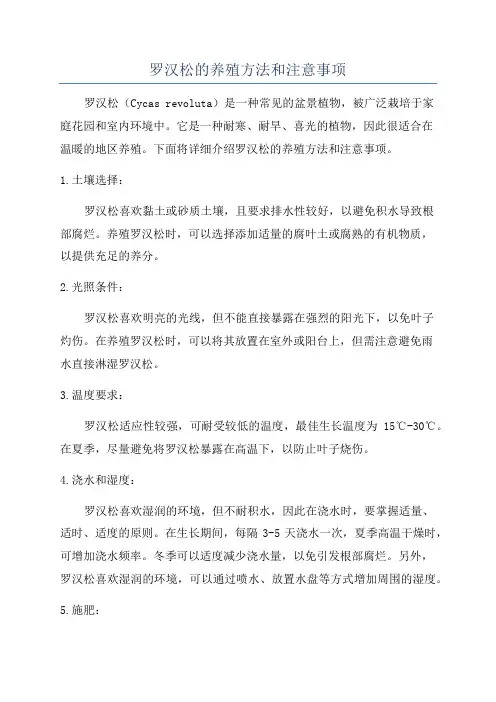 罗汉松的养殖方法和注意事项