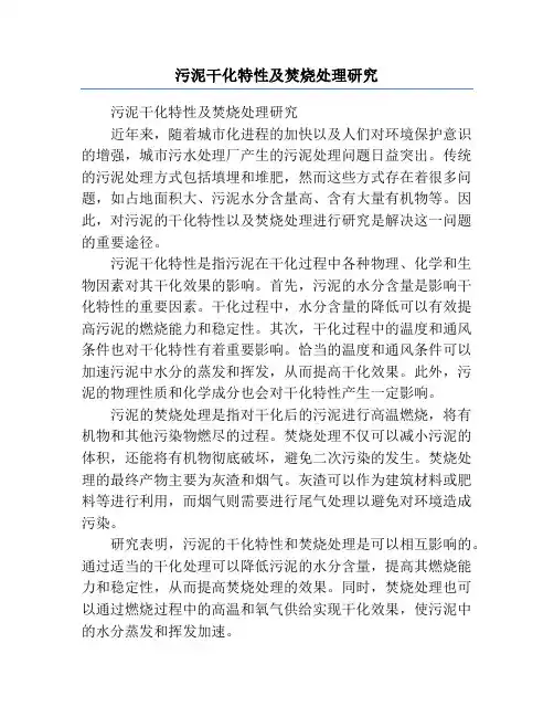 污泥干化特性及焚烧处理研究