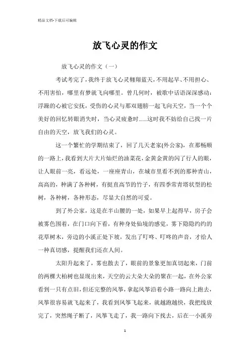 放飞心灵的作文