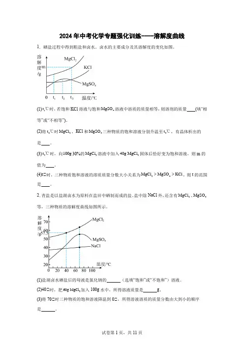 2024年中考化学专题强化训练溶解度曲线