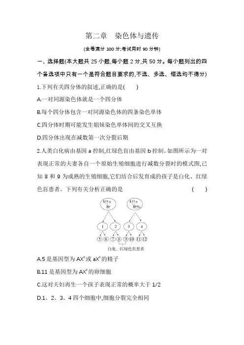 浙科版高中生物必修2第二章染色体与遗传测试含答案