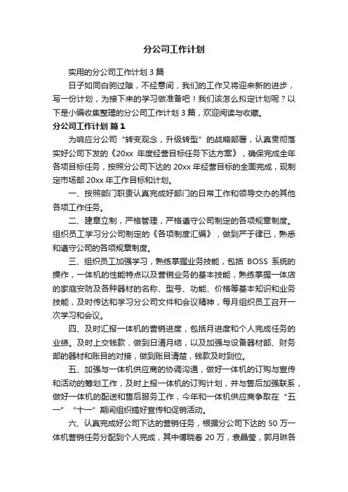 分公司工作计划