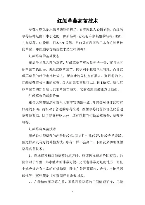 红颜草莓高苗技术